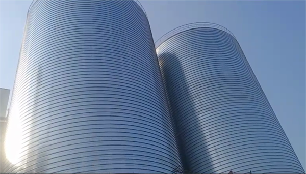 英吉沙2座混凝土高架卷板仓